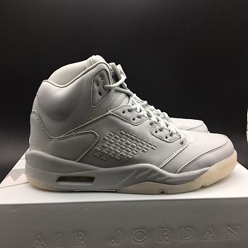 Air Jordan 5 Premium Pure Platinum