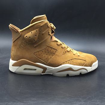 Air Jordan 6 Retro Golden Harvest