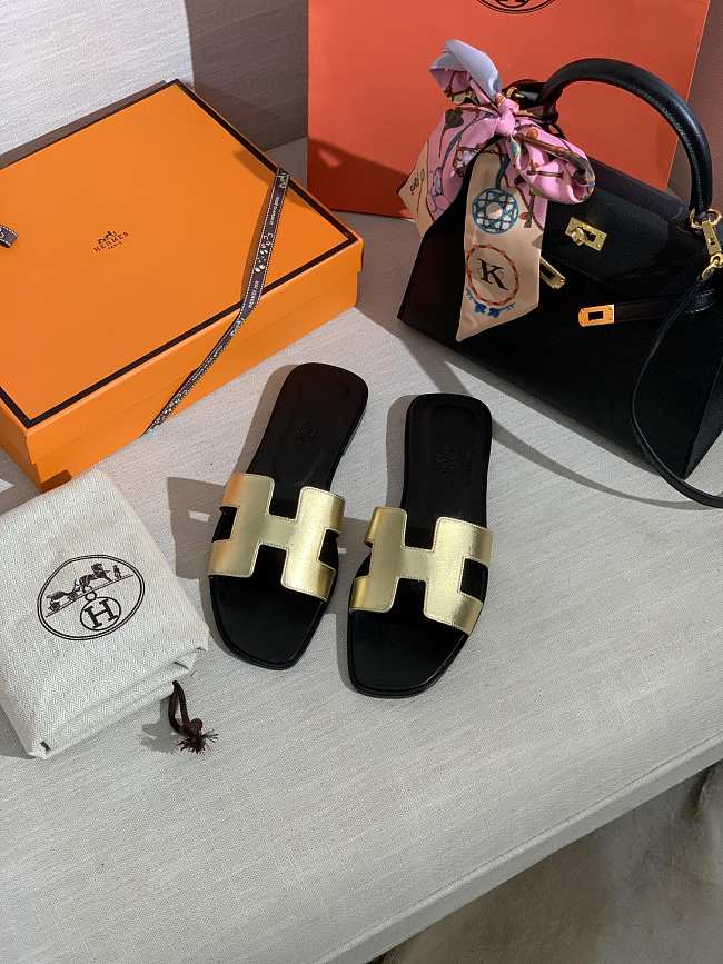 Hermes Slides 00037 - 1