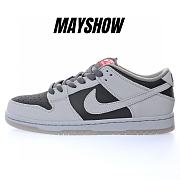 Nike Dunk SB Low Atlas 35MM Grey - 504750-020 - 1