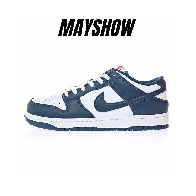 Nike Dunk Low Valerian Blue - DD1391-400 - 1