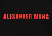 	 Alexander Mcqueen T-shirt Black R33＃ - 5