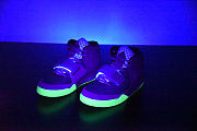 Nike Air Yeezy 2 Pure Platinum - 508214-010  - 5