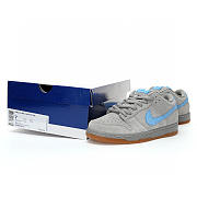 Nike SB Dunk Low Iron Low - 304292-022 - 4