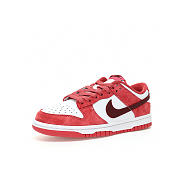 Nike Dunk Low Adobe - FQ7056 100 - 3