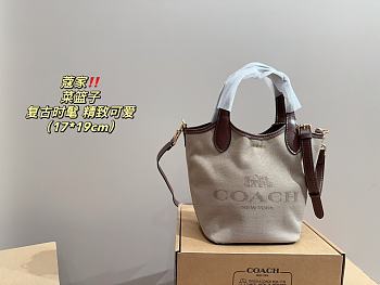 	 Coach P150 Beige Brown 17x19cm