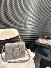 Louis Vuitton Dauphine P170 Grey 25x19cm - 1