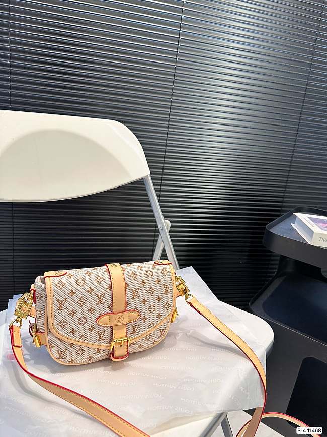 Louis Vuitton Saumur BB P120 20x15cm - 1