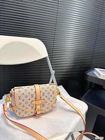 Louis Vuitton Saumur BB P120 20x15cm