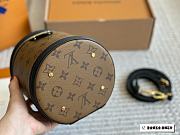 Louis Vuitton Cannes Bag 15 x 17 x 15 cm - 5