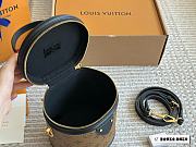 Louis Vuitton Monogram Reverse Cannes 15cm - 4