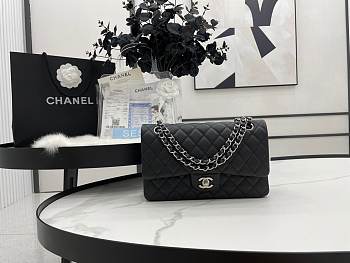 Chanel Classic Flap Bag Black Silver  25cm