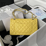 Chanel Classic Flap Bag Quilted Caviar Yellow Silver 15.5x25.5x6.5cm - 4