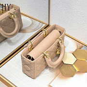 Dior Lady D-Joy Bag Rose 22*6*12cm - 5