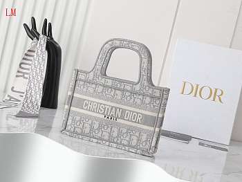 Dior Book Tote Grey Oblique Embroidery 22 x 17x7 cm