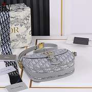 Dior Bobby Bag Gray Oblique 22cm - 4