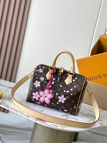 LV Sedy Bandoulière 25 size  19 x 15 x 25 cm
