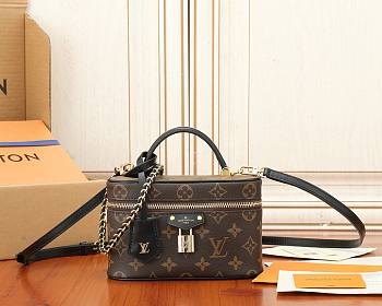 Louis Vuitton Vanity Chain Pouch size 19x11.5x6.5cm