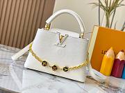Louis Vuitton Capucines BB Taurillon Leather Bag size  27x18x9cm - 1