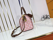 Louis Vuitton Speedy P9 Bandoulière 25 Damoflage Pink Sakura size 25x15x15cm - 6
