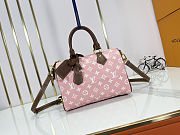 Louis Vuitton Speedy P9 Bandoulière 25 Damoflage Pink Sakura size 25x15x15cm - 5