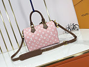 Louis Vuitton Speedy P9 Bandoulière 25 Damoflage Pink Sakura size 25x15x15cm - 3