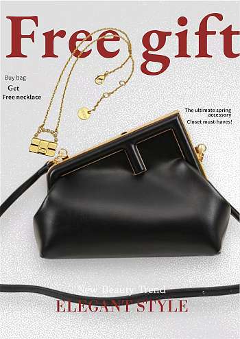 Fendi Frame Bag black leather medium -26 x 18 x 12 cm - free necklace