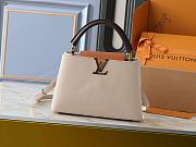 Louis Vuitton Capucines MM Galet / Tan / Chocolate size 31.05x20x11cm - 1