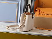 Louis Vuitton Capucines MM Galet / Tan / Chocolate size 31.05x20x11cm - 6