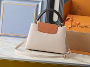 Louis Vuitton Capucines MM Galet / Tan / Chocolate size 31.05x20x11cm - 3