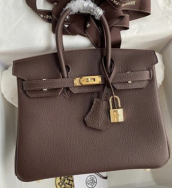 Hermes Birkin 25 Bag Brown Gold Togo 25cm