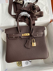 Hermes Birkin 25 Bag Brown Gold Togo 25cm - 6