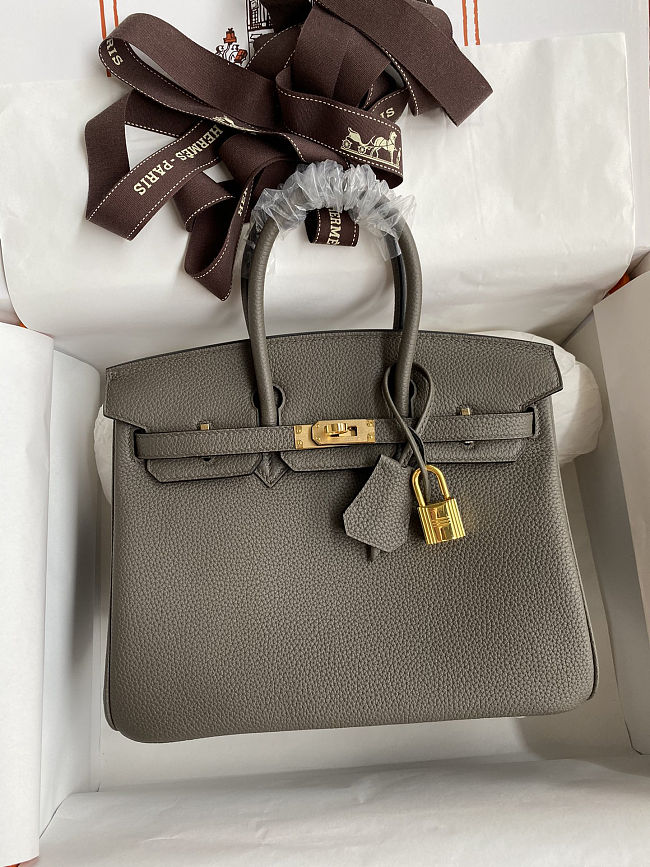 Hermes Birkin 25 Bag Grey Gold Togo 25cm - 1