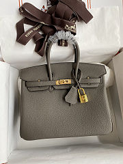 Hermes Birkin 25 Bag Grey Gold Togo 25cm - 1