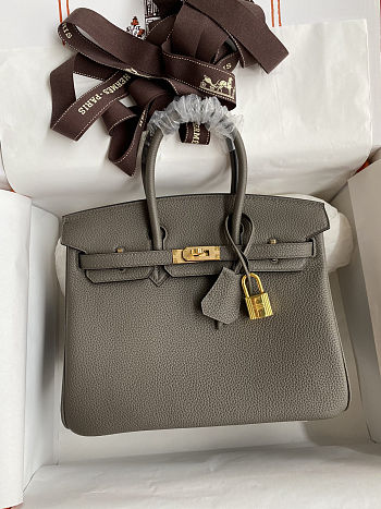 Hermes Birkin 25 Bag Grey Gold Togo 25cm