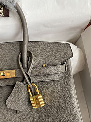 Hermes Birkin 25 Bag Grey Gold Togo 25cm - 3