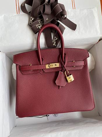 Hermes Birkin 25 Bag red Gold Togo 25cm