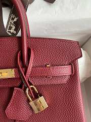 Hermes Birkin 25 Bag red Gold Togo 25cm - 6