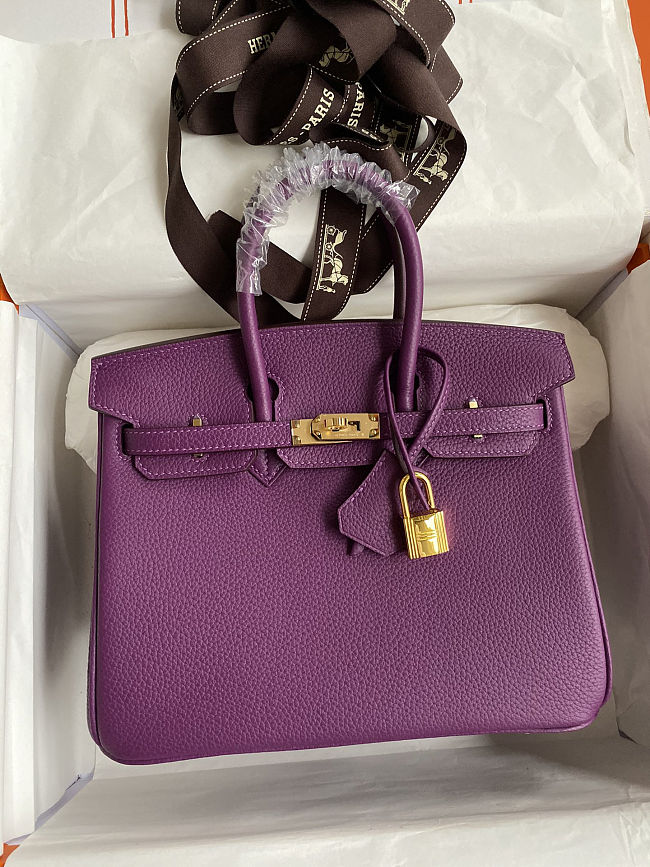 Hermes Birkin 25 Bag purple Gold Togo 25cm - 1