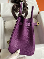 Hermes Birkin 25 Bag purple Gold Togo 25cm - 6
