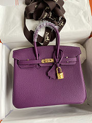 Hermes Birkin 25 Bag purple Gold Togo 25cm - 2