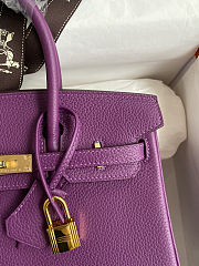 Hermes Birkin 25 Bag purple Gold Togo 25cm - 4