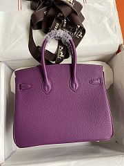 Hermes Birkin 25 Bag purple Gold Togo 25cm - 3
