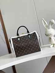LV Speedy Soft 30 Teddy Monogram Shearling size 30x21x17cm - 5