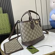 Gucci Ophidia tote bag size 22*18*10 cm - 4