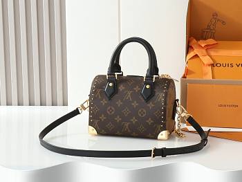 LV speedy 20 size 20 x 14 cm
