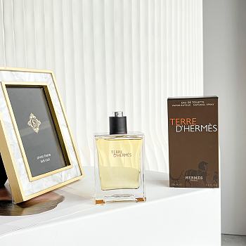 Terre d’Hermès Eau de Toilette 100ml