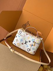 LV Vanity Chain Pouch - 19 x 11.5 x 6.5 cm - 4