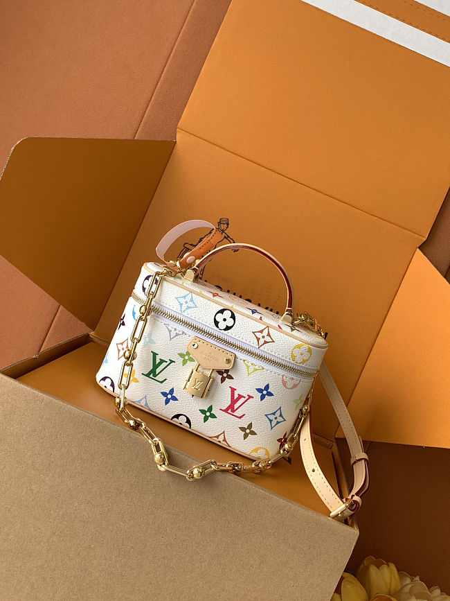 LV Vanity Chain Pouch - 19 x 11.5 x 6.5 cm - 1
