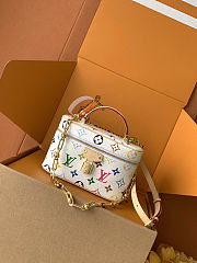 LV Vanity Chain Pouch - 19 x 11.5 x 6.5 cm - 1